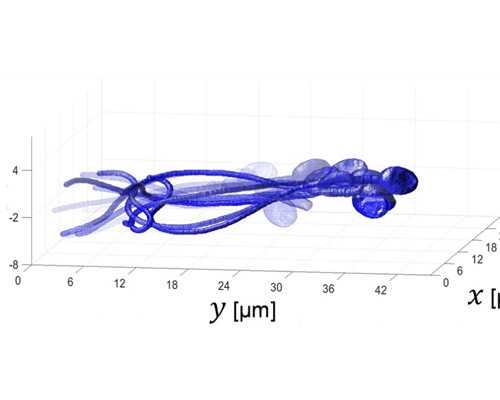 全国供卵试管医院排名前十的医院有哪些？附医院清单