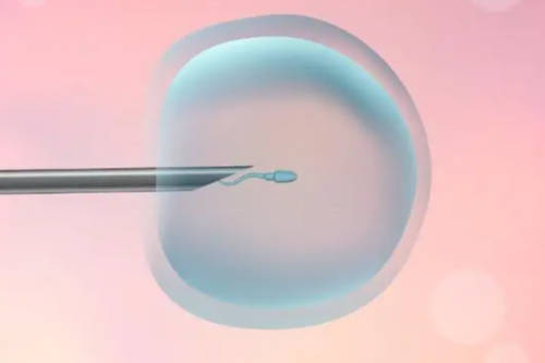 三代试管检测_开封三代试管怎么知道宝宝性别