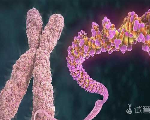 2026深圳最新试管婴儿医院排名，哪家成功率最高？