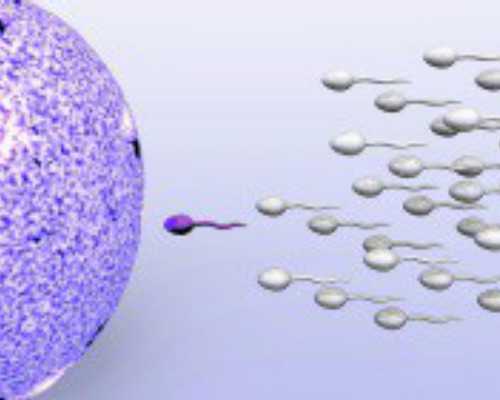 口碑好温州助孕包成功,【苏州供卵试管助孕供卵者会不会有遗传病】预产期之