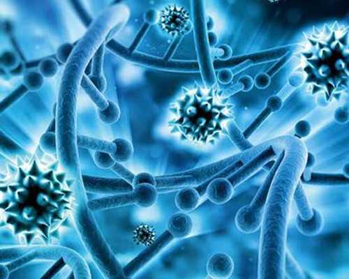 柬埔寨省妇保能做供卵三代试管婴儿?需要满足什么条件