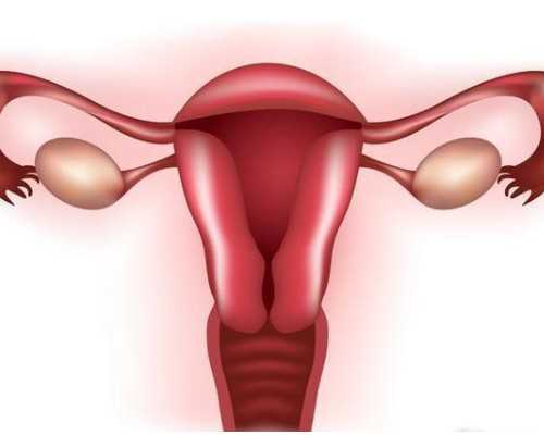 申请精子库供精需要多久,北医三院做供精人工授精要等多久？北京供精试管婴