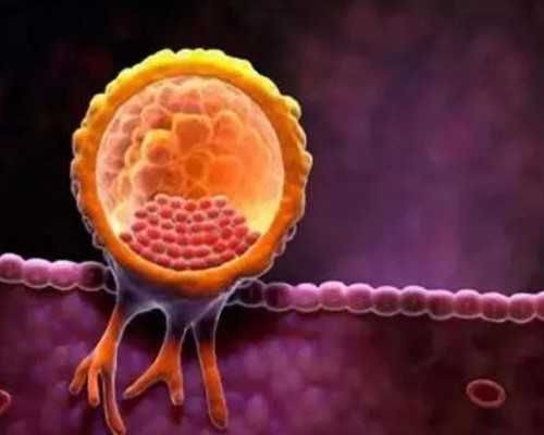 深圳代孕合法吗-深圳网上找人代孕能信吗-同房八天了有什么症状