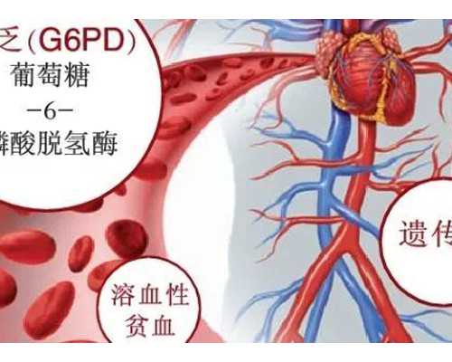 深圳助孕详细过程,怀孕详细过程