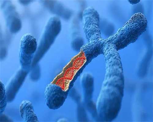 宫颈癌早期能治愈吗