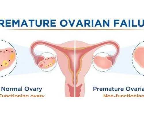 正规代怀孕价格,代孕孕酮正常值是多少呢