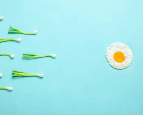 石家庄借卵怀孕大概费用,石家庄四院做供卵试管大概多少钱?附医院费用明细