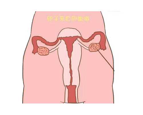 深圳三代试管公司靠谱么?