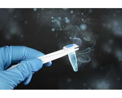 深圳代孕医院的价位_深圳有想做代孕的吗_春节备孕的注意事项