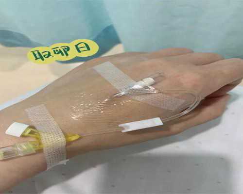 试管移植19天流鲜红的血[试管移植鲜胚]