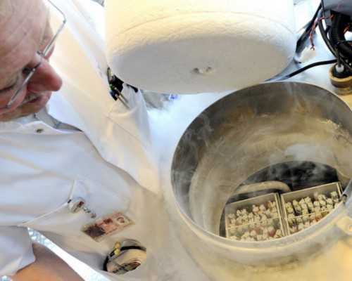 深圳供卵生子_深圳合法代孕_17周胎儿在妈妈肚里的表现