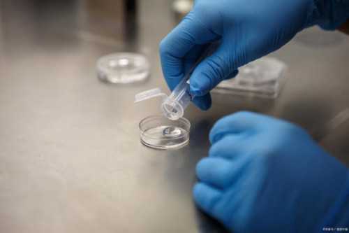 厦门代孕供卵_厦门最可靠的代孕我机构【从客户出发，提供超值代孕服务】