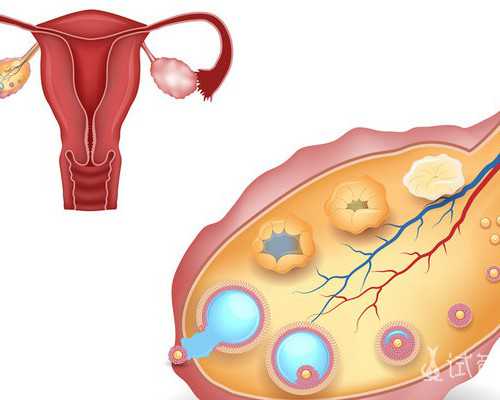 广东代孕机构哪家比较好,深圳试管婴儿费用清单,2026造娃花费明细公布