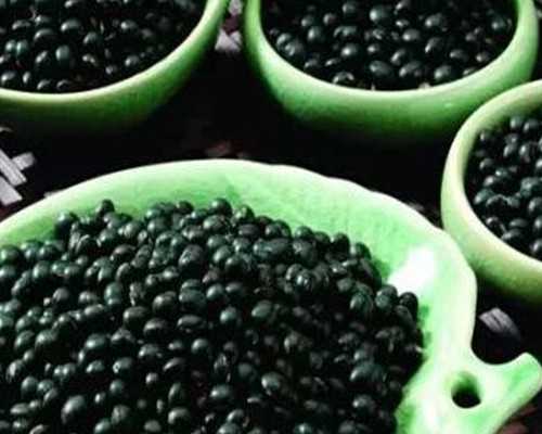 深圳助孕网-深圳助孕在线咨询【深圳科学助孕，让爱延续!】