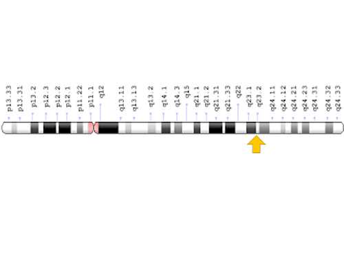 深圳目前有哪几家医院能进行供卵试管助孕技术？深圳供卵医院介绍