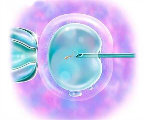 香港供卵机构成功率高吗