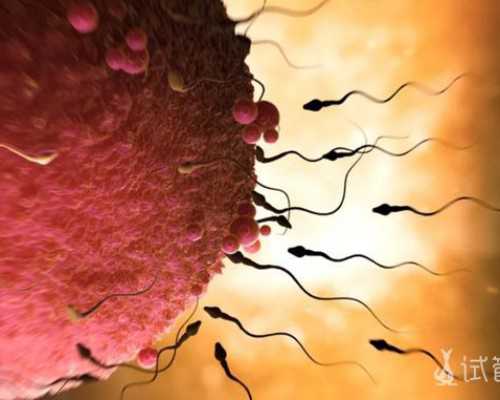 深圳代孕联系方式是多少_怀孕15周便秘怎么办