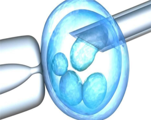广州供卵试管供卵试管价格，输卵管粘连供卵成功率高吗