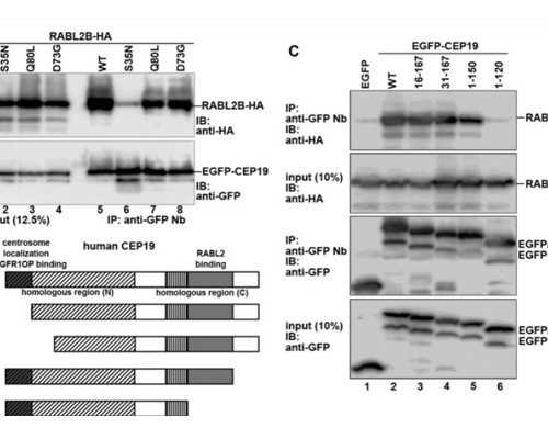 胎心过高吸氧多长时间