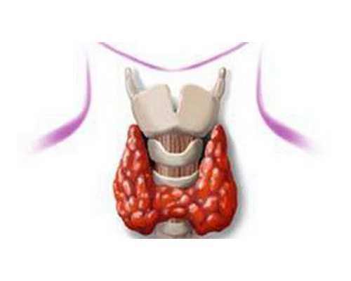 长沙代孕价格一般多少,孕前夫妻需要补充的重点