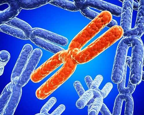 深圳有可靠代怀吗_黑皮冬瓜市价下跌五成