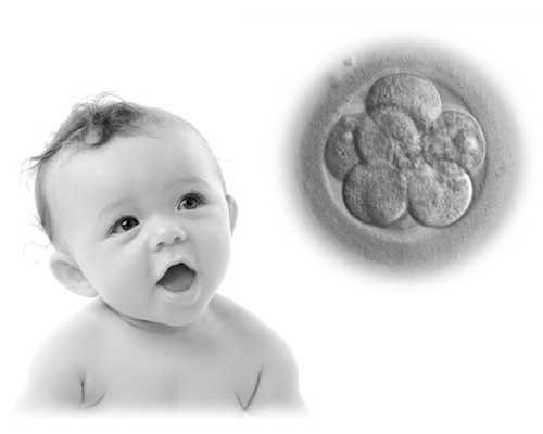 供卵助孕包性别，试管代生的全部费用