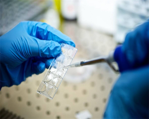 试管供卵成功率高吗(供卵试管婴儿成功率高的中介)