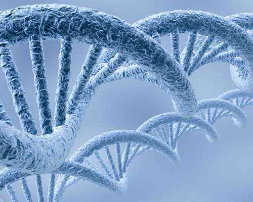 男性免疫性不育安全有效治疗法