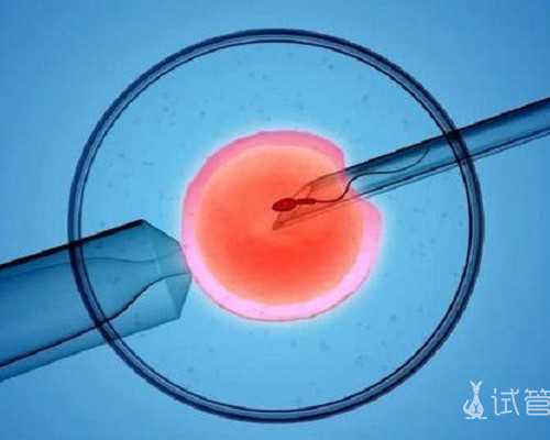 北京供卵试管大约费用,输卵管狭窄可以供卵吗