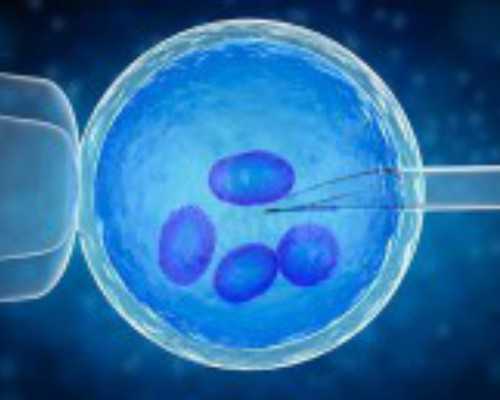 哪里有代孕的女人吗_2020青海科技创新论坛在西宁