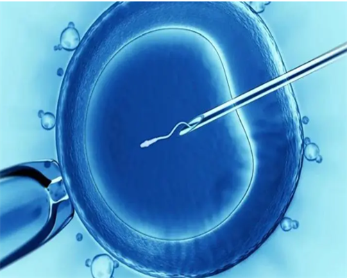 代怀孕机构,排卵试纸准不准