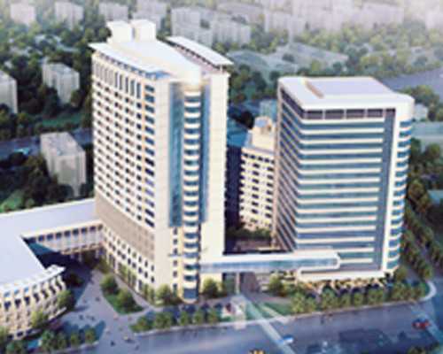 捐卵女孩价格费用_横位胎动是什么样的呢