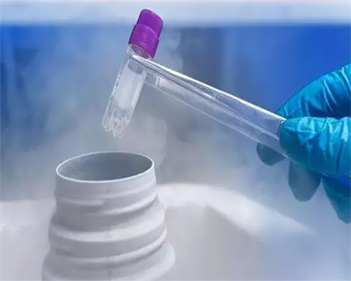 深圳代孕产子价格-深圳可不可以代孕-深圳代孕包成功价格表