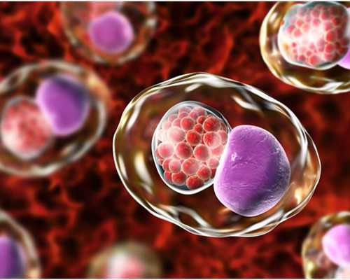 代孕妇可以吃话梅味瓜子吗