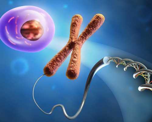 供卵试管跟母亲的关系，深圳供卵试管费用