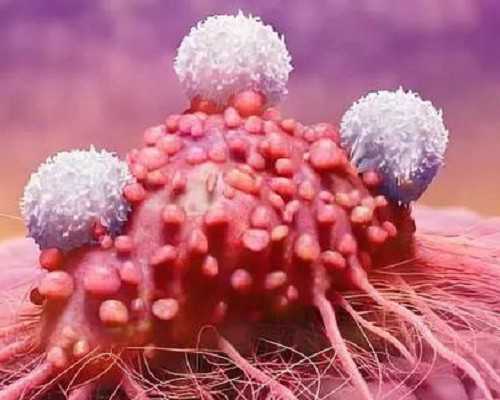 中医能治孕吐吗