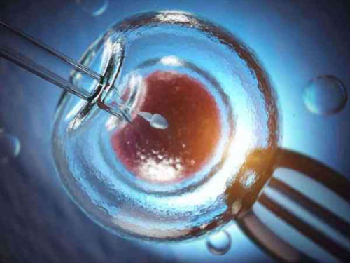 深圳亚洲哪些国家代孕合法·深圳借卵子怀孕需要