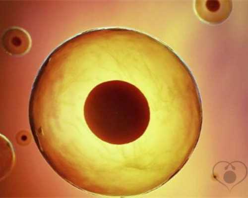 深圳代孕产子价格-深圳代孕哪家好-深圳哪家代孕公司最好