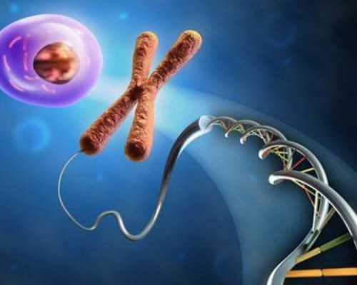 深圳国内借卵生子,深圳市第二人民医院可以买卵子做试管婴儿吗?