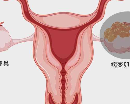 上海供卵试管医院，供卵试管婴儿哪家医院可以做