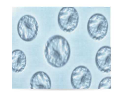 深圳代孕价格-深圳代孕【签约服务，实名代孕可信赖】