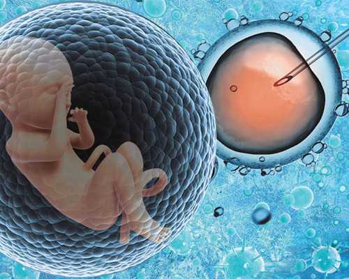 代孕网-【助圆满人生】-嫂子代孕一天吃五顿饭,