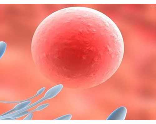 供卵试管一般多钱_2026年代生公司价格