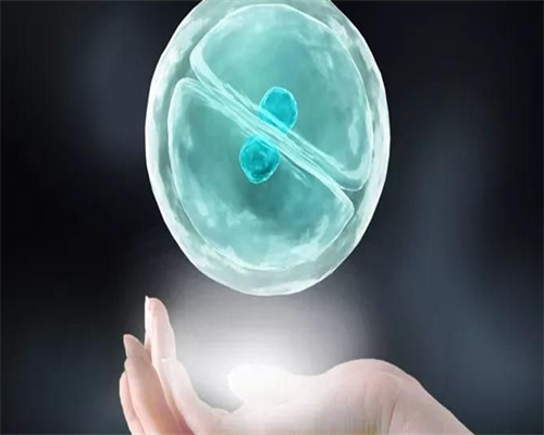 上海代生子-上海哪里要代孕妈妈【助您好孕，天伦育乐】