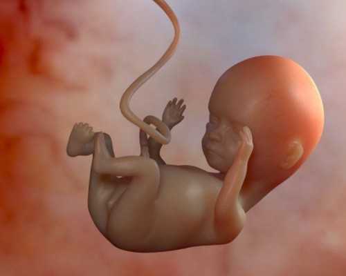 深圳代孕哪里技术好_深圳找人代孕要多少钱_产前孕妇应有的健康心理准备