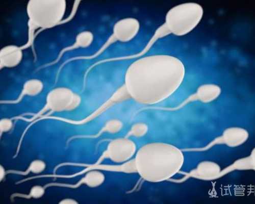 深圳代孕妈妈-深圳代孕全包价-孕期补钙食谱 紫菜玉米排骨汤的做法