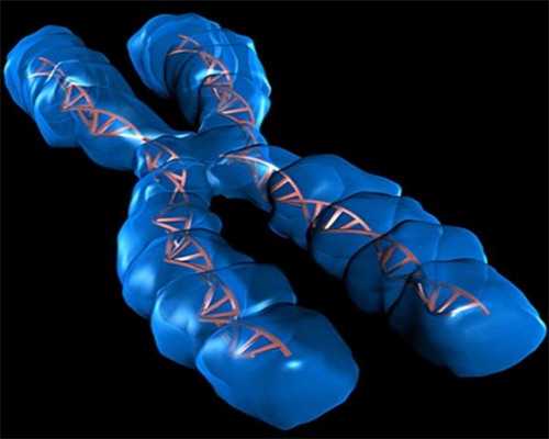 ,孕晚期老想大便