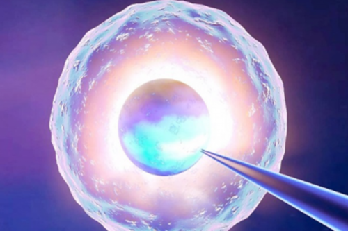 深圳代生孩子可靠吗,2026深圳三代试管婴儿医院排名,附深圳三代生男孩医院推