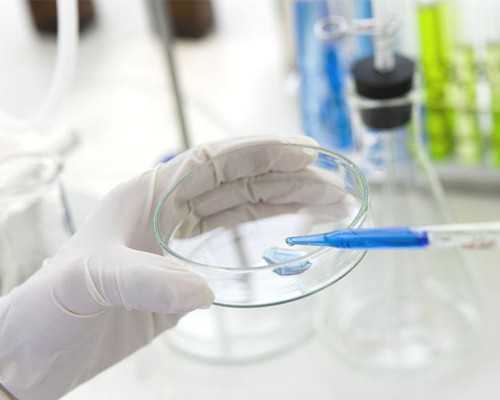 “十三五”时期广东生态效益补偿惠及2649.7万人