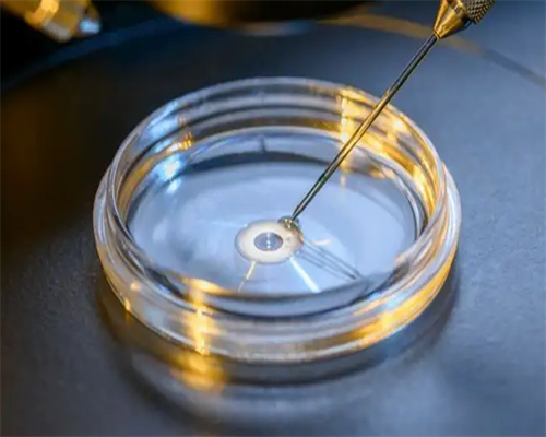 深圳代孕花多少钱-深圳哪里能找到代孕-怀孕两个多月小腹多大